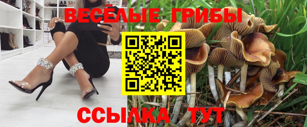 Псилоцибиновые грибы GOLDEN TEACHER  Вход с VPN  Галлюциногенные грибы мицелий  Качканар 